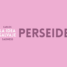 Lyric video: Carlos Sadness -Perseide.. Música, Motion Graphics, Animação, Tipografia, Vídeo, e Animação 2D projeto de Andrea Rodríguez Cámara - 10.10.2018