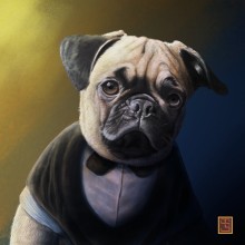 Chester the Pug. Traditional illustration, Digital Illustration, Portrait Illustration, and Portrait Drawing project by Julio Solis - 10.13.2018