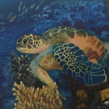Tortuga, pintura al óleo alla prima . Un proyecto de Pintura de Norma Santoyo - 30.10.2018