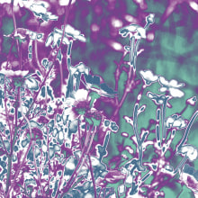 Manipulated daisies. Een project van Fotografie, Interieurontwerp y Digitale illustratie van Laura Muñoz Estrada - 05.11.2018