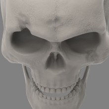 Cráneo. 3D projeto de Alvaro Guizado - 10.07.2017