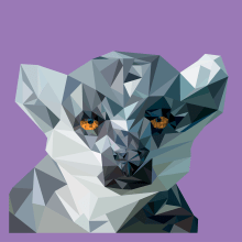 LowPolly Lemur. Un proyecto de Ilustración tradicional, Ilustración vectorial, Creatividad, Dibujo e Ilustración digital de Duvan Camilo Cruz Parra - 18.11.2018