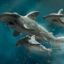 Playmobil Hammer Sharks. Un proyecto de Fotografía, Fotografía de producto, Iluminación fotográfica y Fotografía de estudio de Adrián Limón Rivera - 20.11.2018