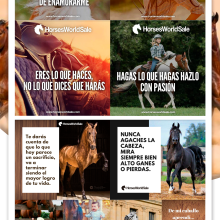 Social Media Horses World Sale imagenes Redes Sociales. Un proyecto de Publicidad, Br, ing e Identidad, Diseño gráfico, Redes Sociales y Gestión del Portafolio de Freshmedia - 22.11.2018