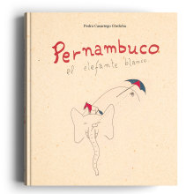 Libro Pernambuco el elefante blanco.. Un proyecto de Diseño, Fotografía, Diseño editorial, Retoque fotográfico y Fotografía de producto de Demian Ortiz Pablos - 07.05.2017