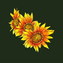 Mi Proyecto del curso: Ilustración botánica con acuarela. GIRASOLS. Un proyecto de Ilustración tradicional de Carme Farrerons - 08.12.2018