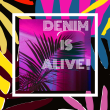 Denim is Alive !. Graphic Design, Packaging, Vector Illustration, Fashion Design, and Digital Illustration project by Eugenia Pasquali - 12.19.2018