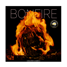 Bonfire Childish Gambino Album Cover. Un projet de Direction artistique, Artisanat, Conception de produits , et Art conceptuel de Zoe Vitale - 24.11.2018