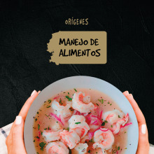 MANUAL ORÍGENES DINNERS. Een project van Redactioneel ontwerp van Rebeca Ortiz - 20.10.2018