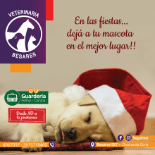 Veterinaria Besares. Graphic Design, and Social Media project by Luciana Gutierrez - 01.12.2019
