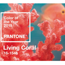 Living Coral SS/2019.  project by sara viñas - 01.15.2019