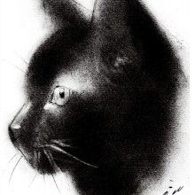Gato con polvo de carbonilla. Desenho projeto de Sol Martire - 20.01.2019