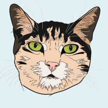 Cat. Traditional illustration, and Vector Illustration project by Anna Garcia Pares - 01.30.2012
