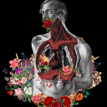 Arreglo floral . Un proyecto de Collage e Ilustración digital de David Espinosa - 06.02.2019