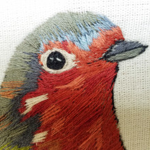 Mi Proyecto del curso: Pintar con hilo: técnicas de ilustración textil. Sewing project by Abdiel Poblano - 02.10.2019