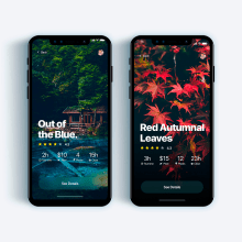 UI Design Collection 3. UX / UI, Interactive Design, and Web Design project by Christian Vizcarra - 02.28.2019