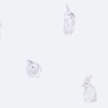 Empapelado de conejos. Un proyecto de Diseño de interiores, Ilustración digital, Ilustración textil y Decoración de interiores de Maitea del Hierro Oteriño - 15.04.2019