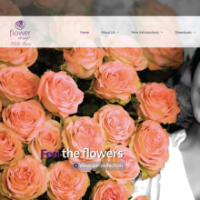 FlowerVillage. Un proyecto de UX / UI y Diseño Web de Pablo Núñez Argudo - 08.09.2018