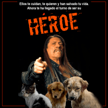 HÉROE Una campaña para adopción de mascotas abandonadas. Marketing project by Gabriel Benítez Lozano - 05.02.2019