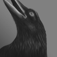 Cuervo. Un proyecto de Ilustración digital de Carlos Arriaga - 24.12.2018