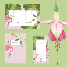 Mi Proyecto del curso: Ilustración botánica con acuarela.. Un proyecto de Ilustración tradicional de Olga Villar González - 22.05.2019