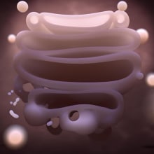 Golgi Aparatus. 3d Science visualization. 3D, Animation, 3D Modeling, and Concept Art project by Sonia Juan Rubio - 06.01.2019