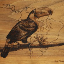 Toucan Drawing burned on walnut. Drawing project by Elisa Plance - 06.19.2019