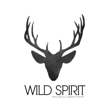 Wild Spirit. Un proyecto de Diseño de calzado y Diseño de moda de Josefina Allendes - 28.06.2019