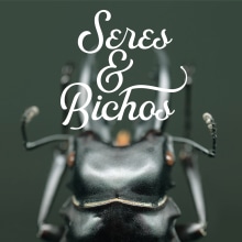 Seres & Bichos App. Un proyecto de UX / UI y Diseño mobile de Juan Pedro Sabina - 02.07.2019