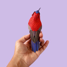 Crimson sunbird . Photograph, 3D, Character Design, Fine Arts, Paper Craft, 3D Animation, Studio Photograph, and Fine-Art Photograph project by Diana Beltran Herrera - 08.13.2019