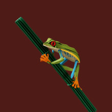 Red eye tree frog.  Ein Projekt aus dem Bereich 3D, Bildende Künste, Kartonmodellbau, Animation von Figuren und 3-D-Animation von Diana Beltran Herrera - 22.08.2019