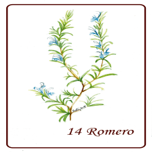 Mi Proyecto del curso: Ilustración botánica con acuarela Rueda de Flores. Ilustração tradicional projeto de Patricia Sueta - 02.09.2019