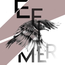 Efimer. Proyecto editorial. Un proyecto de Diseño editorial de Alessia Et Cetera - 30.01.2019