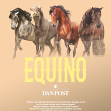 EQUINO. Art Direction, Graphic Design, Industrial Design, Product Design, Shoe Design, Fashion Design, and Concept Art project by Danielo Campbells - 09.13.2019