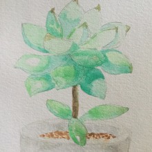 Mi Proyecto del curso: Ilustración botánica con acuarela. Un proyecto de Dibujo de Beatriz Oyarzun Canto - 18.09.2019