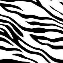 Cebra para Luna Sobrino. Un proyecto de Ilustración vectorial, Diseño de moda e Ilustración textil de marcela hattemer - 01.05.2019
