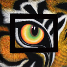 Ojo de Tigre Prismacolor / Acrílico. Un proyecto de Pintura de Jobana Vazquez Jasso - 15.10.2019