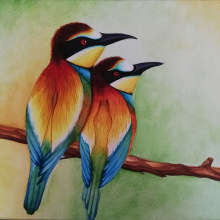 Birds - Acuarela. Un proyecto de Pintura a la acuarela de Jobana Vazquez Jasso - 15.10.2019