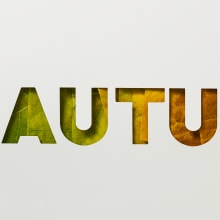 Autumn palette. Fotografia, Direção de arte, e Lettering projeto de CactuSoup - 18.10.2019