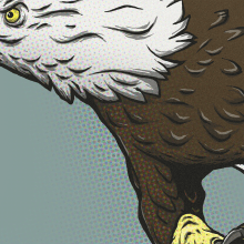 "Skull and Eagle" poster. Ilustração tradicional, Design gráfico, Ilustração digital e Ilustração infantil projeto de Marco Boetti - 24.10.2019