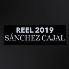 REEL 2019. Motion Graphics, Cinema, Vídeo e TV, Animação, Animação 2D, Animação 3D, Criatividade, Modelagem 3D, e 3D Design projeto de Sánchez Cajal - 13.11.2019