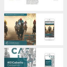 CF - Personal branding. Un proyecto de Diseño, Br, ing e Identidad, Redes Sociales y Diseño de logotipos de Mica Karaman - 15.09.2019