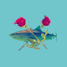 Shark and Roses. Un projet de Beaux Arts, Design graphique , et Dessin réaliste de Alvaro García - 27.11.2019