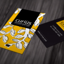 curiüs. Br, ing, Identit, and Graphic Design project by Julia Pérez - 10.20.2014
