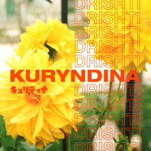 KURYNDINA - DRISHTI. Design project by Nahuel Torras - 12.14.2019