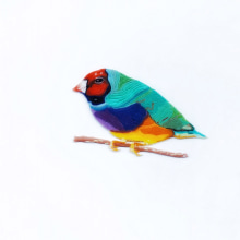 Gouldian Finches Bird made with colourful clay. Técnica aprendida en el curso de Jacinta Besa G.. Arts, and Crafts project by Andrea Martinez - 01.08.2020