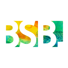 Logotipo empresa BSB. Un proyecto de Dirección de arte, Diseño gráfico, Diseño de logotipos y Diseño digital de Daniel Cifani Conforti - 20.03.2019