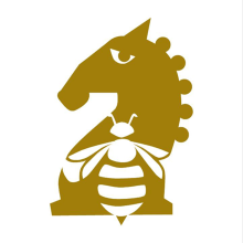 Logo Escuela de Ajedrez de Béjar. Un proyecto de Diseño, Diseño de iconos, Diseño de logotipos y Comunicación de Ricardo Gil Turrion - 03.02.2020