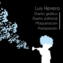 Tarjetas Luis Herrera. Un proyecto de Diseño gráfico de Luis Alfonso Herrera Diez - 12.02.2020