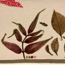 Mi Proyecto del curso: Ilustración botánica con acuarela. Un proyecto de Ilustración botánica de Mónica Angulo Pinto - 01.03.2020